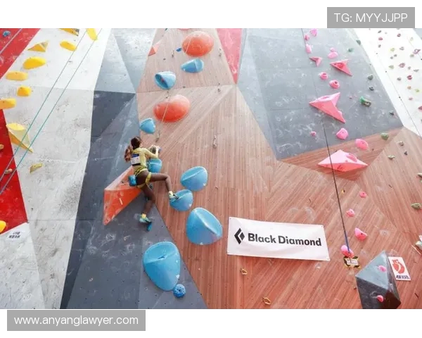 上海攀岩队在全国攀岩配合排行榜中荣获第六名的佳绩引发热议