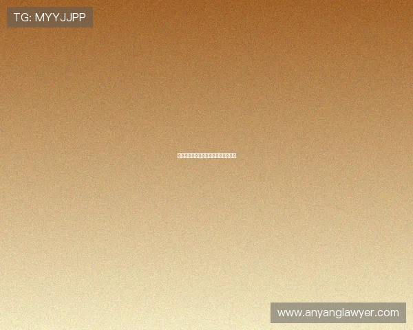 杭州攀岩队的默契配合与团队精神探讨